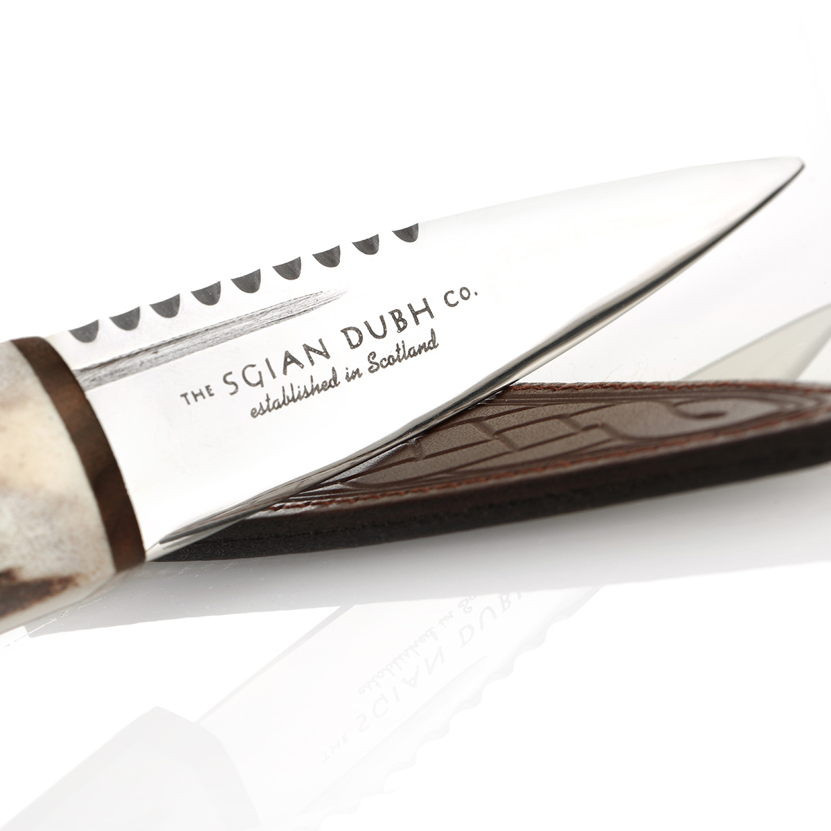 sgian-dubh-keltisch-schottland-020 Highland Stag Sgian Dubh - Schottischer Hirsch - Hirschhorn & Walnussholz