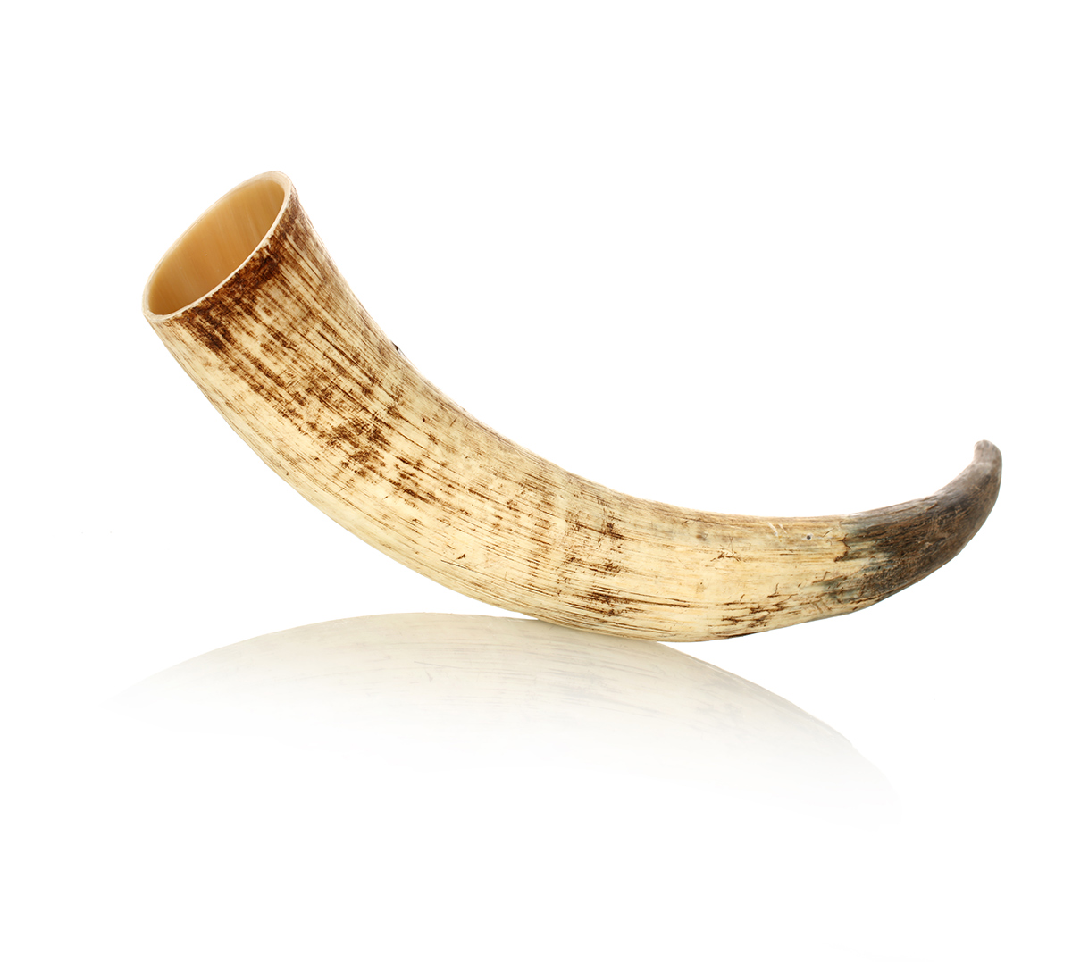 trinkhorn-methorn-natur-roh-wikinger-010 Wikinger Trinkhorn ca. 0,7 Liter  - außen Natur / Roh - echtes Rinderhorn