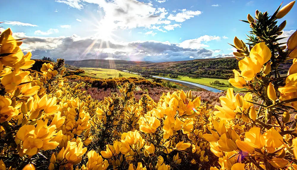 Brae-Scotland-1000x570