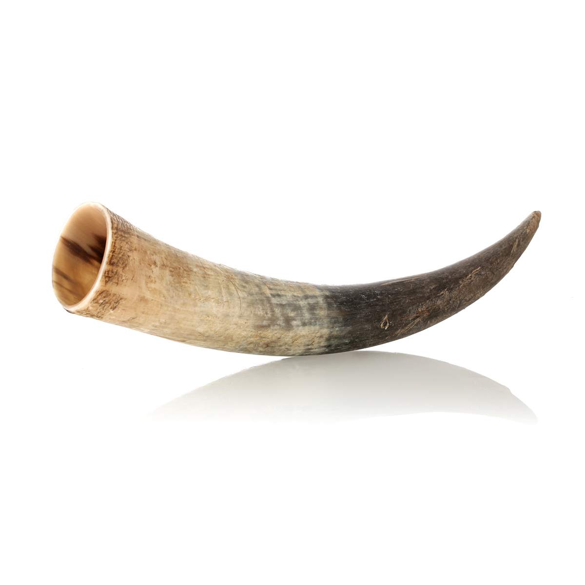 trinkhorn-methorn-natur-roh-wikinger-005VVfpJ04CMF7Vc Wikinger Trinkhorn ca. 0,5 Liter  - außen Natur / Roh - echtes Rinderhorn