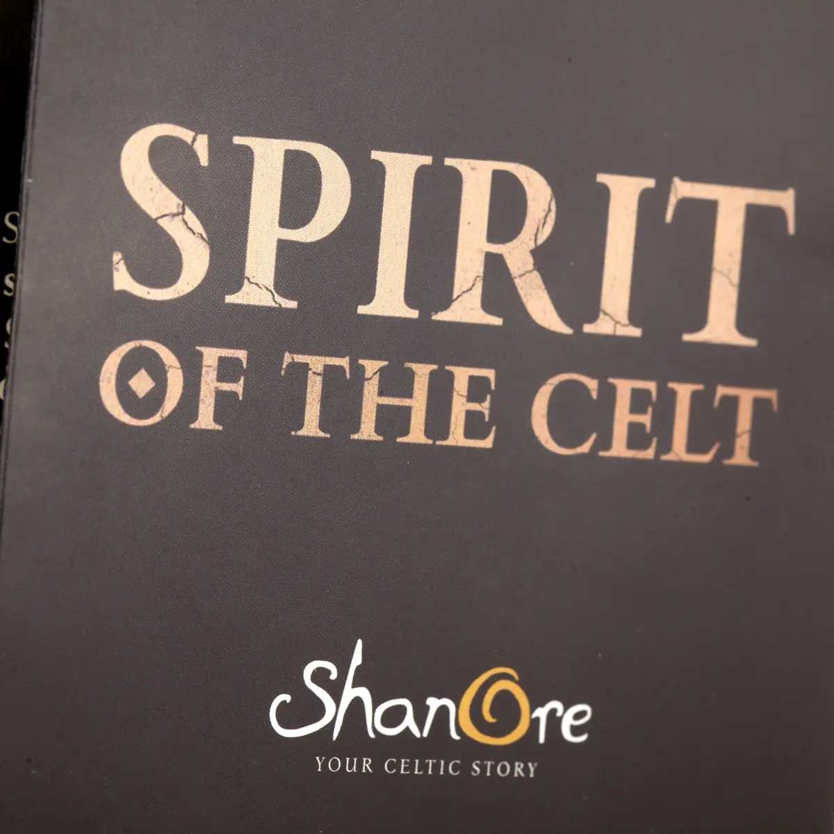Spirit of the Celt - Black Onyx Dragon - Sterling Silber Kette aus Irland