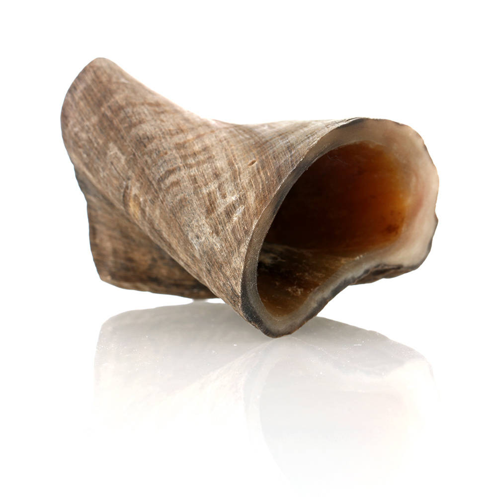 Shot-Glas-Becher-Schafshorn-Natur-005 Shotbecher  / Schnapsbecher aus echtem Widderhorn / Schafshorn - aussen natur