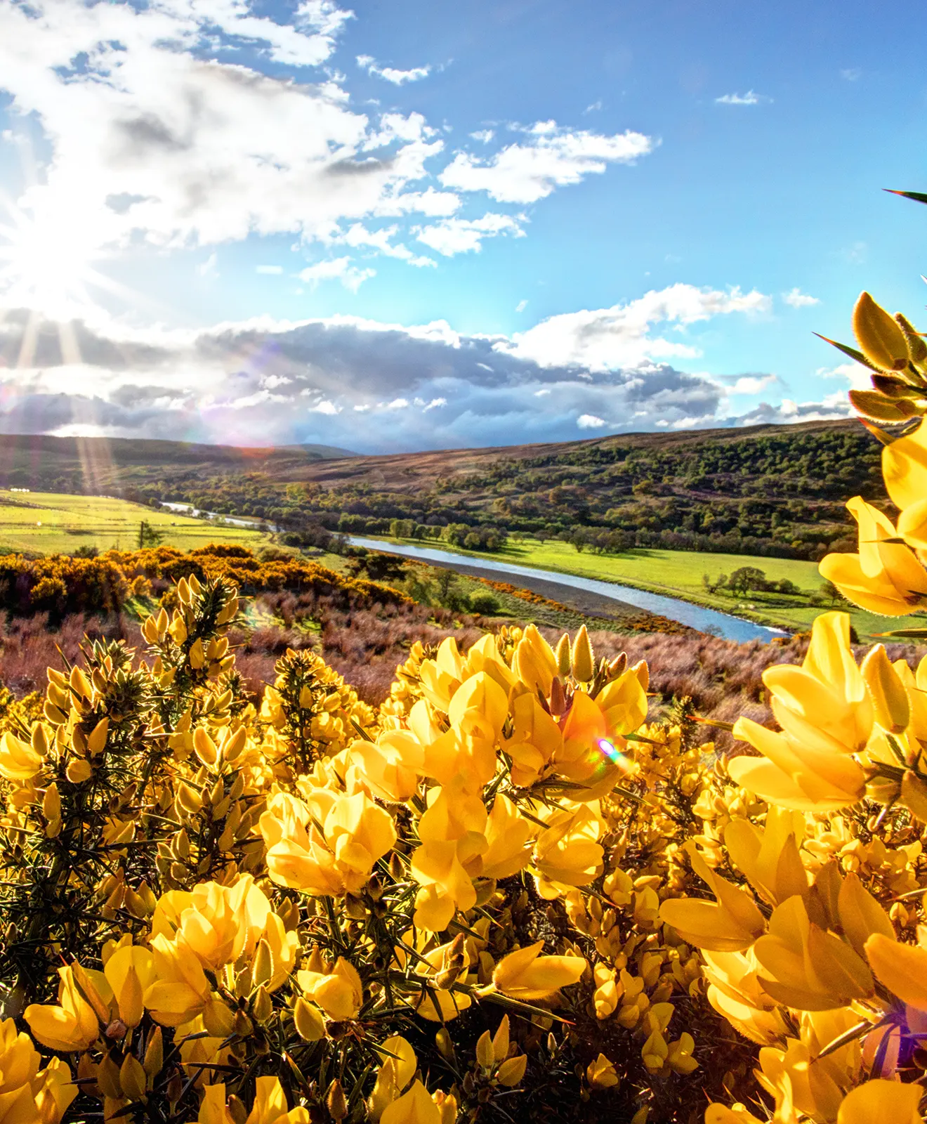 Brae-Scotland-1600x1320