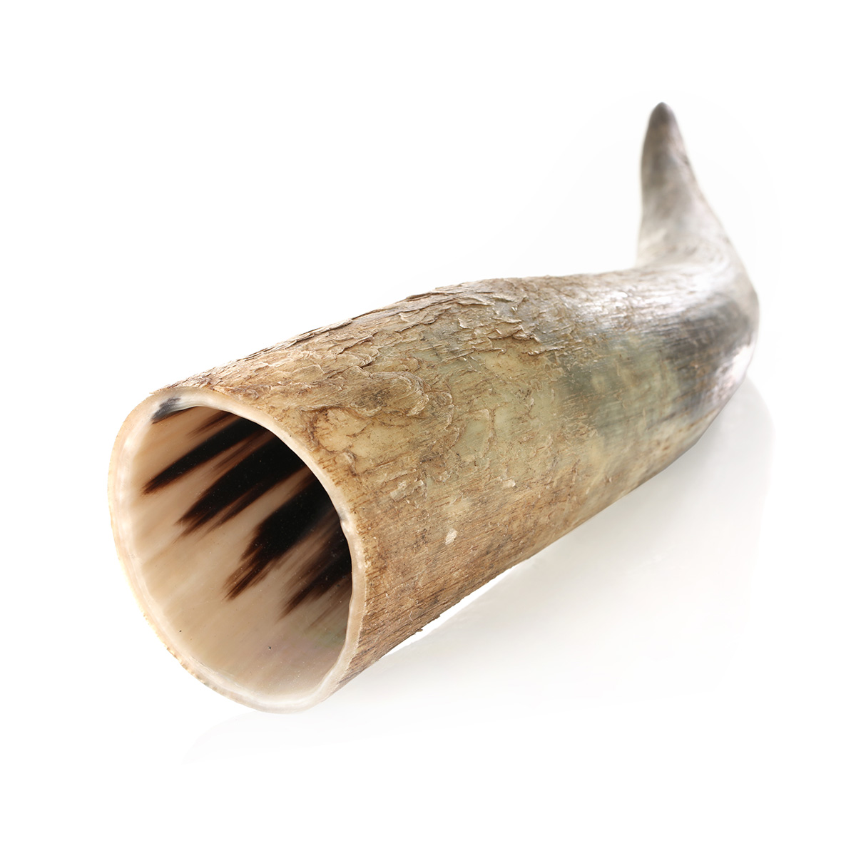 trinkhorn-roh-500ml-002 Trinkhorn aus echtem Horn - aussen naturbelassen