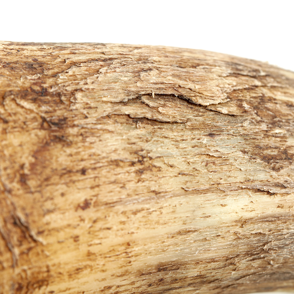 Becher-Horn-Natur-010593174d531b87 Hornbecher natur / roh - 0,5 l - Wikinger Becher aus Rinderhorn - außen unbehandelt