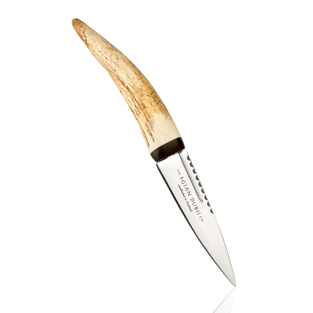 sgian-dubh-hirsch-horn-schottland-002Kvx0TVm4imKuZ Highland Sgian Dubh aus Schottland - Hirschhorn & Edelstahl mit Lederscheide