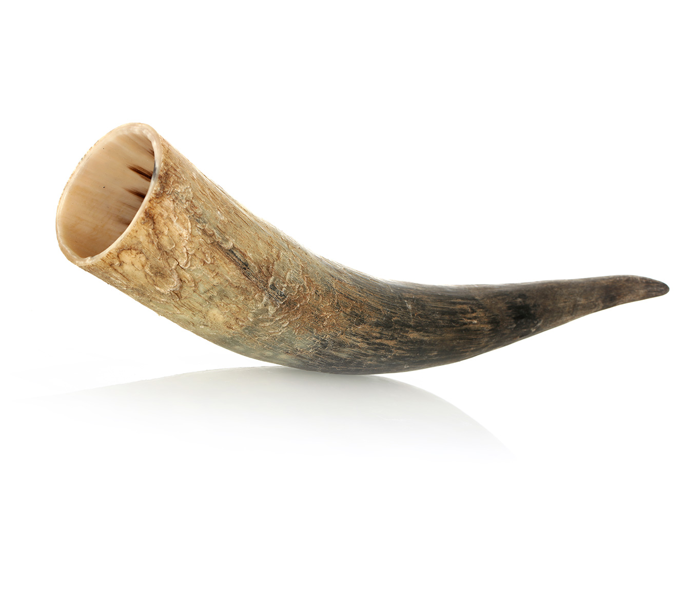 trinkhorn-roh-500ml-001 Trinkhorn aus echtem Horn - aussen naturbelassen
